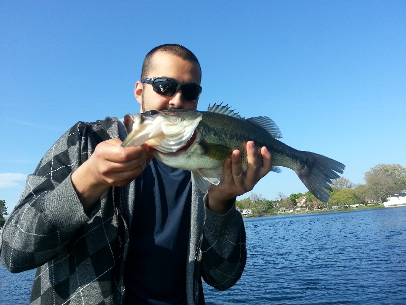 another nice bass