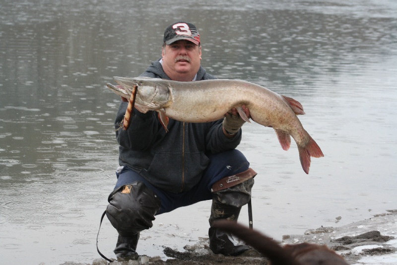 48 inch musky