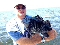 Sea Bass Fishing Report