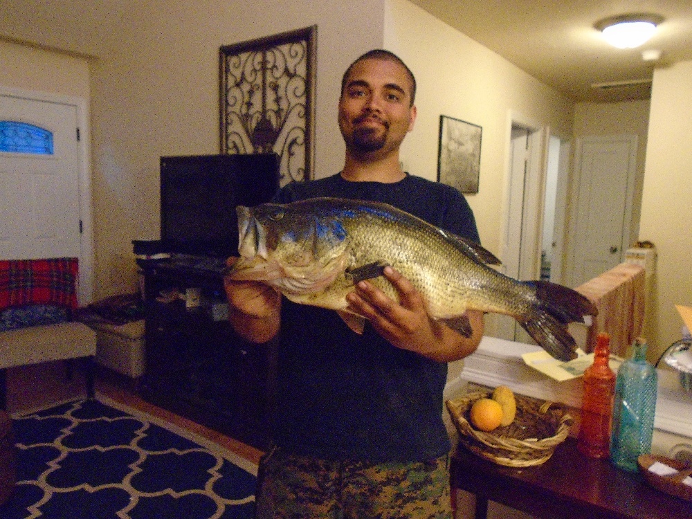 6 lber