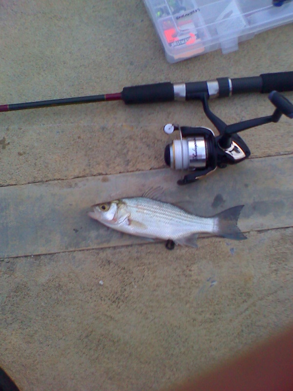 3/16/08 - Lake Murray - Ardmore, OK