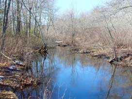 Burrillville fishing photo 4