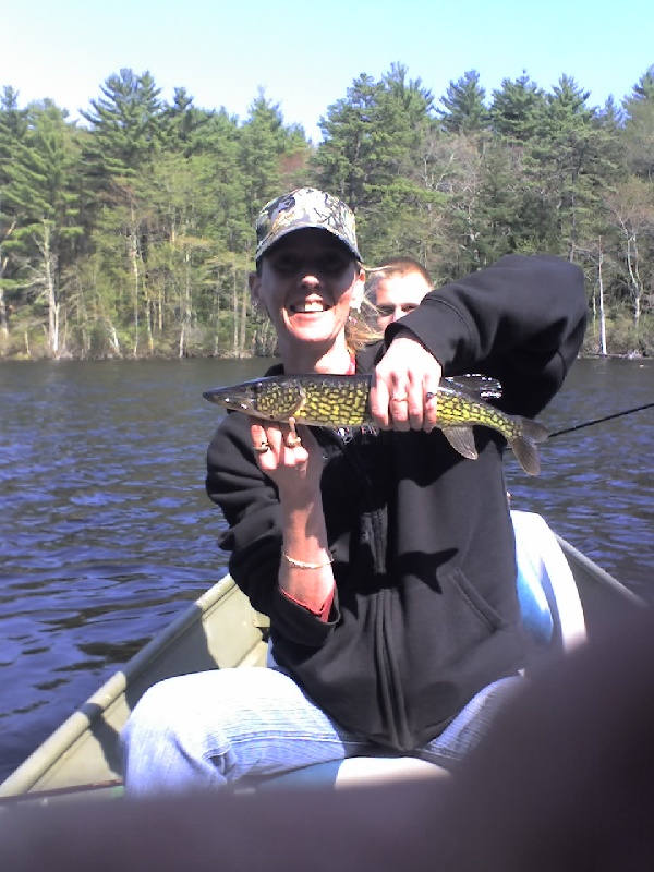 chain pickerel near Coventry