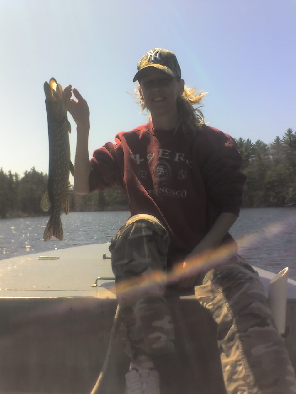 chain pickerel near West Greenwich